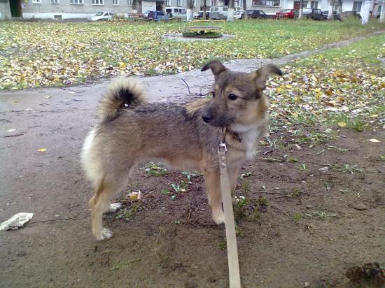10102011058.jpg