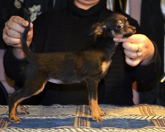 DSC_1056.jpg