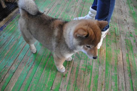 DSC_0308.JPG