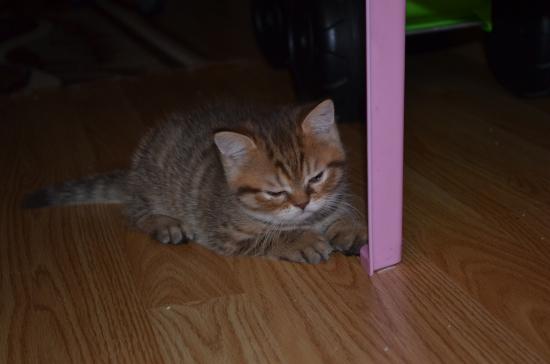 DSC_1173.JPG