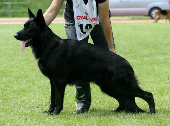 jjUovpq6_SQ-1.jpg