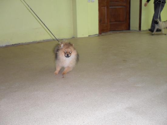 SDC13069.JPG