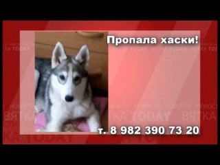 пот хаски вятка тдtmye8sbYyJE.jpg
