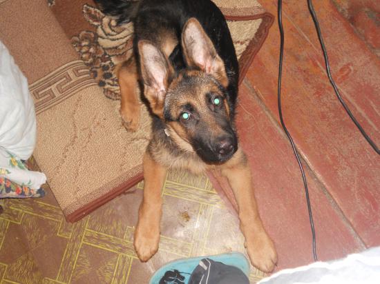 DSCN5965.JPG