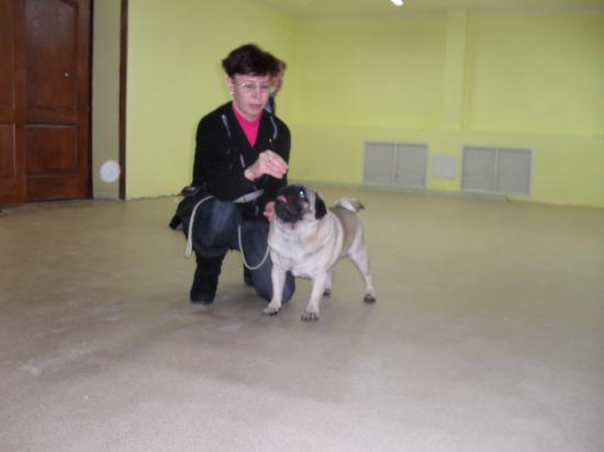 SDC13055.JPG