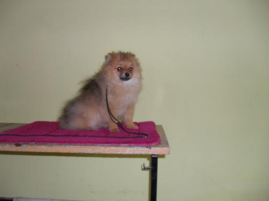 SDC13042.JPG