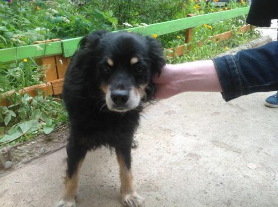 aTwX-WnLglo.jpg