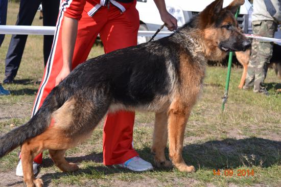 DSC_3848.JPG