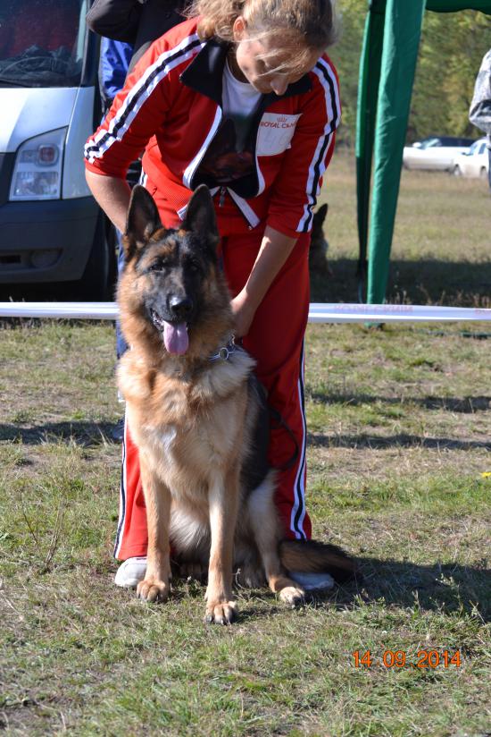 DSC_3862.JPG