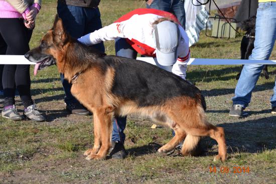 DSC_3957.JPG