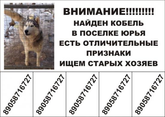 Рисунок1.jpg