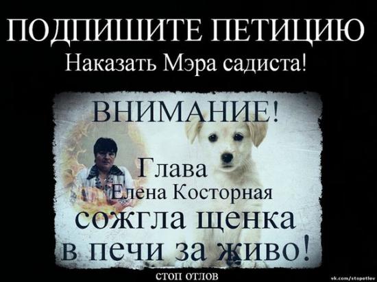 петицияHDpUuhtb-ZE.jpg