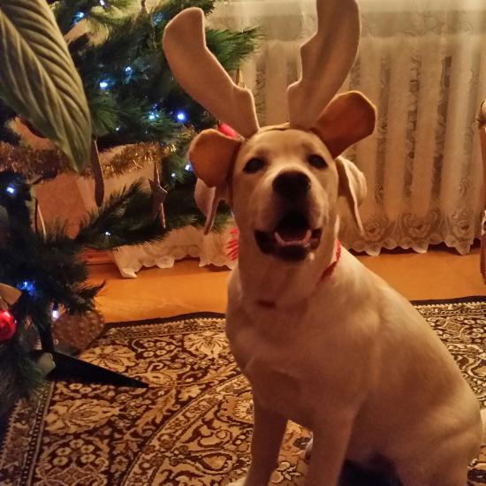 20141231_195347-1.jpg