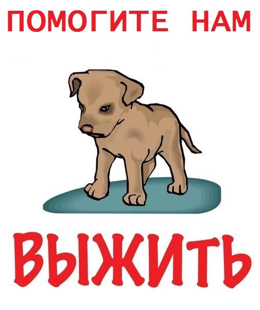 c7vEGN-QBZE.jpg