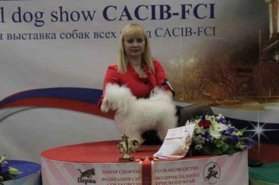 САСИБ2.jpg
