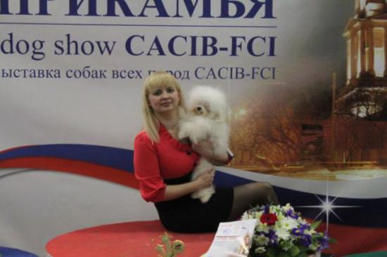 САСИБ5.jpg