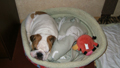 DSCF5117.jpg