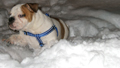 DSCF5134.jpg