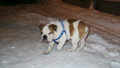 DSCF5135.jpg