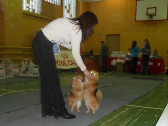 SDC13441.JPG