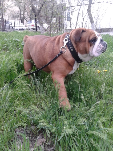 20150416_154240.jpg