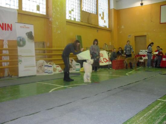 SDC13450.JPG