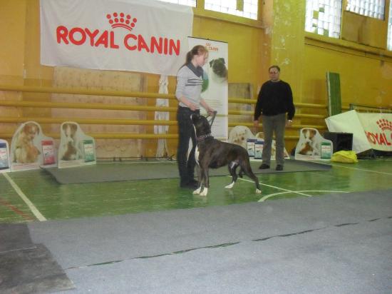 SDC13458.JPG