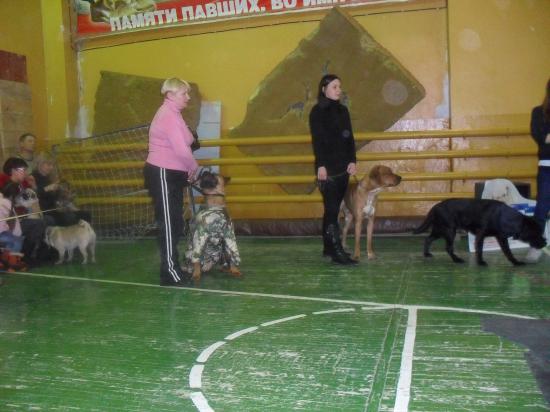 SDC13469.JPG