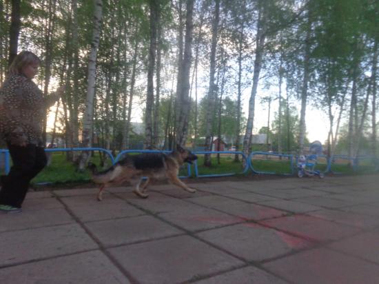 ,эл3.jpg