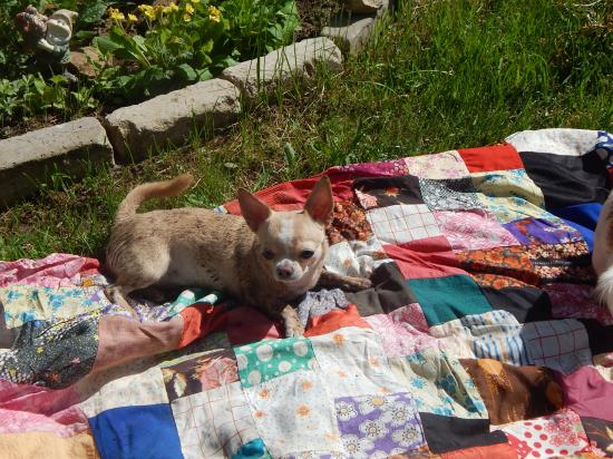 DSCN0985.JPG