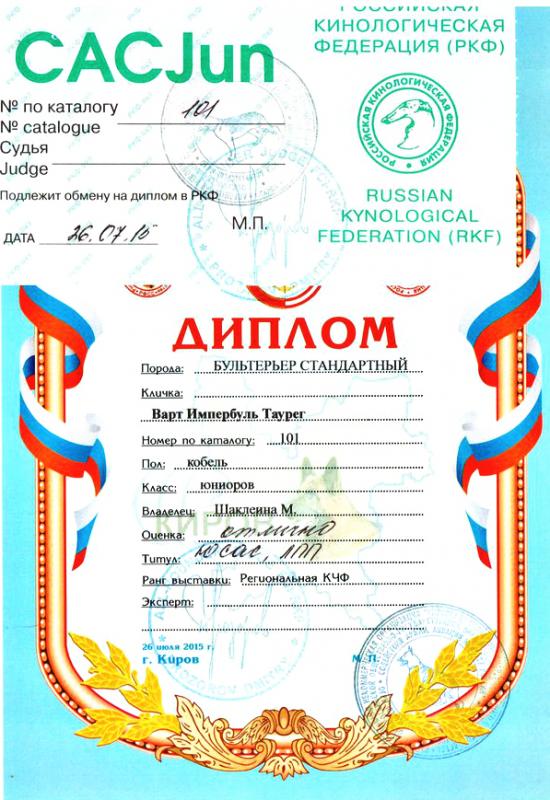 2-я заслуга.jpg